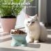 Navaris Raised Ceramic Cat Bowls (Set of 2) - Elevated Food and Water Bowl Pack for Cats - Cute Kitty Shaped Dishes with Ears - Dishwasher Safe - Green/Peach - Buy Online on SooperMarket.com