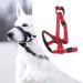 Dog Handlebar Halter with Seat Belt - XL Red Pet Harness Prevents Pulling on Outdoor Walks - Buy Online on SooperMarket.com