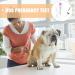GANAZONO Pet Dog Pregnancy Pregnant Test Paper Strip Fast and Accurate Detection Pet Dog Pregnancy Test Card Dog Pregnant Test - Buy Online on SooperMarket.com