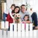Omtofo 15 Roll Lint Roller - Extra Sticky 900 Leaves for Pet Hair Clothing & Sofa - 10cm Sturdy Handles - Buy Online on SooperMarket.com