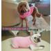Cool Combed Cotton Dog Shirt for Medium-Sized Dogs | Sychien Striped Pink & Gray T-Shirt for French Bulldogs - Buy Online on SooperMarket.com