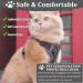 Fineasy Adjustable Cat Leash & Dish Set - Safe Cat Harness for Cats & Kittens - Grey Small - Buy Online on SooperMarket.com