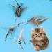MWOOT 6pcs Cat Feather Toys with Bells Feather Toys Spinning Attachment for Indoor Cats and Kitten Catcher Replacement Feather Refills with Bells Feather Cat Toys for Playing Catcher and Exercising - Buy Online on SooperMarket.com