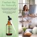Rosemary Oil for Hair Growth Rosemary Oil for Skin Face 100% Pure Natural Improved Hair Growth Nourishes Scalp Rosemary Hair Oil For Men Women - Buy Online on SooperMarket.com