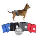 Sailing trousers for bitches 2.0 - dog diapers made of high -quality perforated neoprene for an optimal air exchange - dog diapers for male without the annoying threading of the rod (XS -gray) XS gray