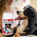 Beaphar Anti-Plaque Dental Powder for Dogs & Cats 75g Tub - Combats Plaque & Tartar, Prevents Bad Breath - Buy Online on SooperMarket.com
