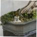 Mipcase 2pcs Pet Water Feeder Ants Nest Water Feeder Ants Nest Water Feeding Area Ants Water Feeder Plastic - Buy Online on SooperMarket.com