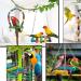 12Pcs Parrot Toys for Small Birds - Hammock Swing, Bell, Chewing Toys - Ideal for Budgies, Cockatiels, Parrots - Finches Accessories - Buy Online on SooperMarket.com