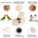 Wooden Parakeet Nesting Box with Coconut Fiber Toy - Ideal for Cockatiel Lovebirds Budgie Finch Canary - 7.8x4.8x4.8 - Buy Online on SooperMarket.com
