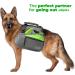 Edipets Green 5m Extendable & Retractable Dog Leash - Flexible Training Leash for Small Medium & Large Dogs - Buy Online on SooperMarket.com