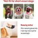 Adjustable Breathable Muzzle for Small Dogs - Safe Comfortable Prevents Biting & Barking (S Black) - Buy Online on SooperMarket.com