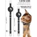 Reflective AirTag Cat Neck Band with Bell | Lightweight Tracker Collars for Kittens & Young Cats - Black - Buy Online on SooperMarket.com
