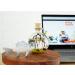 Shrimp Bubble Self-Sustaining Ecosystem in Amber - Eco-Friendly Home Decor - Buy Online on SooperMarket.com