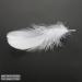 HaiMay 450 White Feathers for Craft Wedding & Party Decor 3-5 inches - Home Decorations - Buy Online on SooperMarket.com