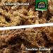 Buy Terra Exotica Sphagnum Moss (3x1 Kg) - Premium Peat Moss for Garden Houseplants & Terrariums - International Shipping Available - Buy Online on SooperMarket.com