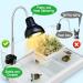 Buy Pewingo Turtle Heat Lamp - UVB Basking Spot Lights for Reptiles | 360 Swivel Clamp | Halogen & Orange Light | Ideal for Turtles Snakes & Lizards - Buy Online on SooperMarket.com