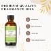 EUQEE Pear Fragrance Oil 60ml - Aromatherapy Essential Oil for Diffusers and DIY Candle Making - Buy Online on SooperMarket.com