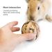 Camiter 9-Piece Chewing Toy Set for Small Animals | Hamsters Rabbits Guinea Pigs & More - Durable Chew Cases & Cube Toys - Buy Online on SooperMarket.com