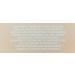 Nuria Defend Overnight Face Cream - Night Cream for Skin Recovery with Seaweed & Aloe 50mL - Buy Online on SooperMarket.com