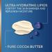 Vaseline Intensive Care Cocoa Radiant Lotion 10 oz - Pack of 6 | Moisturizing & Hydrating Skin Care for All Skin Types - International Shipping Available - Buy Online on SooperMarket.com