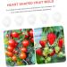 Kisangel 15 Pcs Fruit Shaping Mold Vegetables Fruit Forming Mold Fruit Growth Molds Gourd Gardening Supplies 4.5x4cmx3pcs Whitex3pcs - Buy Online on SooperMarket.com