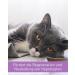 Lega Phyton 200 - Liver Support Tablets for Dogs & Cats | Silymarin Supplement | 24 Tablets - International Shipping Available - Buy Online on SooperMarket.com