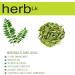 HerbLk Dried Curry Leaves (0.5 Oz / 15g) Naturally Grown 300+ Leaves Ceylon Spices Food Organic Dried Kari Patta Aromatic Flavors USDA Non-GMO No Additives No Gluten Vegan From Sri Lanka - Buy Online on SooperMarket.com