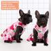 KYEESE Elegant Princess Dog Dress with Rose and Flowers Decor for Small Dogs - Medium Size | Spring Summer Dog Apparel - Buy Online on SooperMarket.com