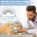 Supet Cat Cone Collar Soft to Stop Licking Cat Recovery E Collar After Surgery Cat Neck Head Cone Alternative for Small Large Cats Kittens Grey M+(8.5"-12") Grey - Buy Online on SooperMarket.com