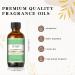 Premium Watermelon Fragrance Oil 60ml - Aromatherapy Essential Oil for Diffusers & DIY Candle Making - Buy Online on SooperMarket.com