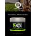 Organic Summer Harvest Matcha Powder - 2.82 oz | Authentic Japanese Green Tea - Latte Grade | DoMatcha - Buy Online on SooperMarket.com