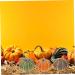 Alipis 8pcs Mini Pumpkin Artificial Fake Pumpkins Fall Pumpkin Models Artificial Fruit Props Fall Autumn Pumpkins Simulated Pumpkin Model Realistic Fake Pumpkins Vegetable Foam Halloween - Buy Online on SooperMarket.com