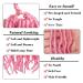Leeven 30 Inch Pink Soft Locs Crochet Hair - BoHo Goddess Butterfly Locs - 15 Strands Pre Looped Distressed Faux Locs - Curly Synthetic Braids for Women - Pack of 1 - Buy Online on SooperMarket.com