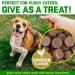 Dog Joint Care Supplements | 150 Chews with Green Lipped Mussel, Glucosamine & Chondroitin | Hemp Oil, MSM, Hyaluronic Acid, Manganese & Vitamins | Aids Stiff Joints | 1 Pot (150 Chews) - Buy Online on SooperMarket.com