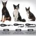 VIVAGLORY Short Dog Lead - 32cm Black | Short Traffic & Training Lead for Medium & Large Dogs - Buy Online on SooperMarket.com