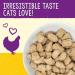 Stella & Chewy's Freeze-Dried Raw Cat Dinner Morsels Bundle | Absolutely Rabbit + Chick Chick Chicken Recipes | 16 oz - Buy Online on SooperMarket.com