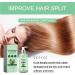 Natural Rosemary Hair Growth Conditioner Biotin Hair Shampoo For Damaged Dry Thinning Hair | Strengthen Hair Soft Hair And Locks In Moisture Nourish Scalp - Buy Online on SooperMarket.com