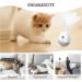 PETGEEK Laser Pointer Cat Toy - Interactive Kitten Toy with Bird Squeaky - Automatic Rotating Cat Laser Pointer - Indoor Cat Toys Gray - Buy Online on SooperMarket.com