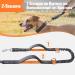 Snocyo Reflective Jogging Leash for Medium & Large Dogs | Elastic Double Handle & Waist Valve | Retractable Running Dog Leash in Gray & Orange - Buy Online on SooperMarket.com