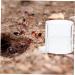 BESPORTBLE 2pcs Ant Water Feeder Acrylic Ant Feeders Professional Ants Feeder Tortoise Water Dish Transparent - Buy Online on SooperMarket.com