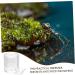 BUGUUYO Pet Water Feeder Ant Nest Water Cup Ant Watering Station Ant Nest Feeder Transparent Plastic - Buy Online on SooperMarket.com