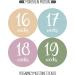 Pregnancy Weekly Belly Growth Stickers - Maternity Keepsake - Set of 36 Week by Week Pregnancy Photo Props - Buy Online on SooperMarket.com