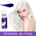 Framesi Color Lover Dynamic Blonde Purple Shampoo - Sulfate Free Shampoo for Color Treated Hair - 16.91 Fl Oz - Buy Online on SooperMarket.com