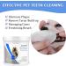 Pet Dental Finger Wipes for Dogs & Cats - Freshen Breath & Improve Oral Health - 50 Pads - Buy Online on SooperMarket.com