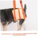 GANAZONO Pet Leg Assist Belt Puppy Rehabilitation Dog Vest Pet Lift Chest L Orange - Buy Online on SooperMarket.com