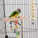 Onebarleycorn Budgie & Parrot Toy Set - 7 Wooden Bird Toys Swings & Canaries for Happy Pet Playtime - Buy Online on SooperMarket.com