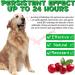 Dog Urinary Tract Infection Treatment Drops with Cranberry Extract - Supports Bladder, Kidney Stone Prevention & UTI - Bacon Flavor - 60ml - Buy Online on SooperMarket.com
