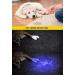 Darkbeam UV Flashlight 365/395nm - Portable Black Light Detector for Dog Urine Pet Spots & Banknote Identification - Mini Handheld LED Lamp - Buy Online on SooperMarket.com