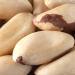 Buy Organic Whole Brazil Nuts - Bremer Gew rzhandel 180g | Premium Quality No Shell International Shipping - Buy Online on SooperMarket.com
