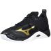 Mizuno mens Wave Momentum Men's Volleyball Shoe 9 1 2 0950 , Black-gold, 9.5 US